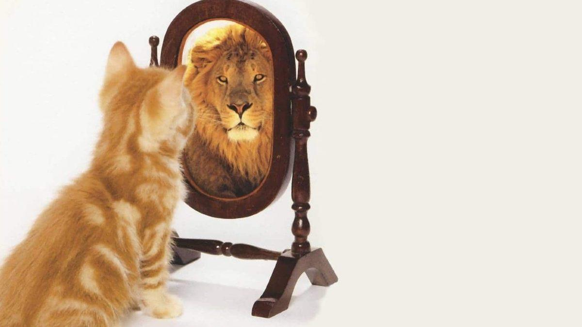 Hayatınızdan Çıkardığınız An Çok Daha Mutlu Olacağınız 7 Toksik İnsan Tipi