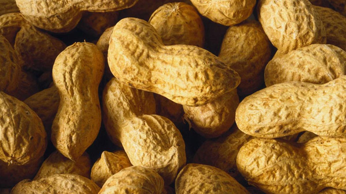 Yer Fıstığı Alerjisini ’Kapatmanın’ Bir Yolu Keşfedildi: Alerjinizden Kurtulmanız Mümkün!