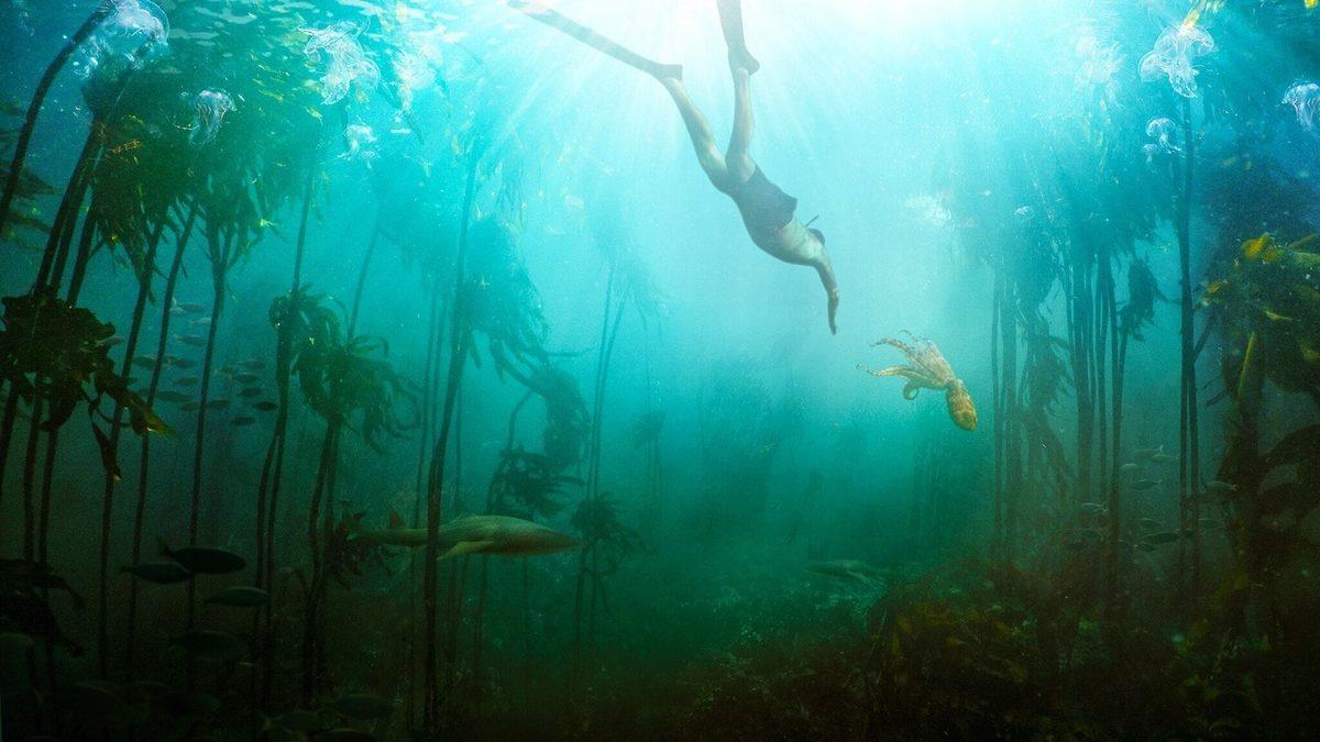 Netflix Oscar’a Doydu: 5 Netflix Originals Yapımı Toplamda 7 Oscar Kazandı