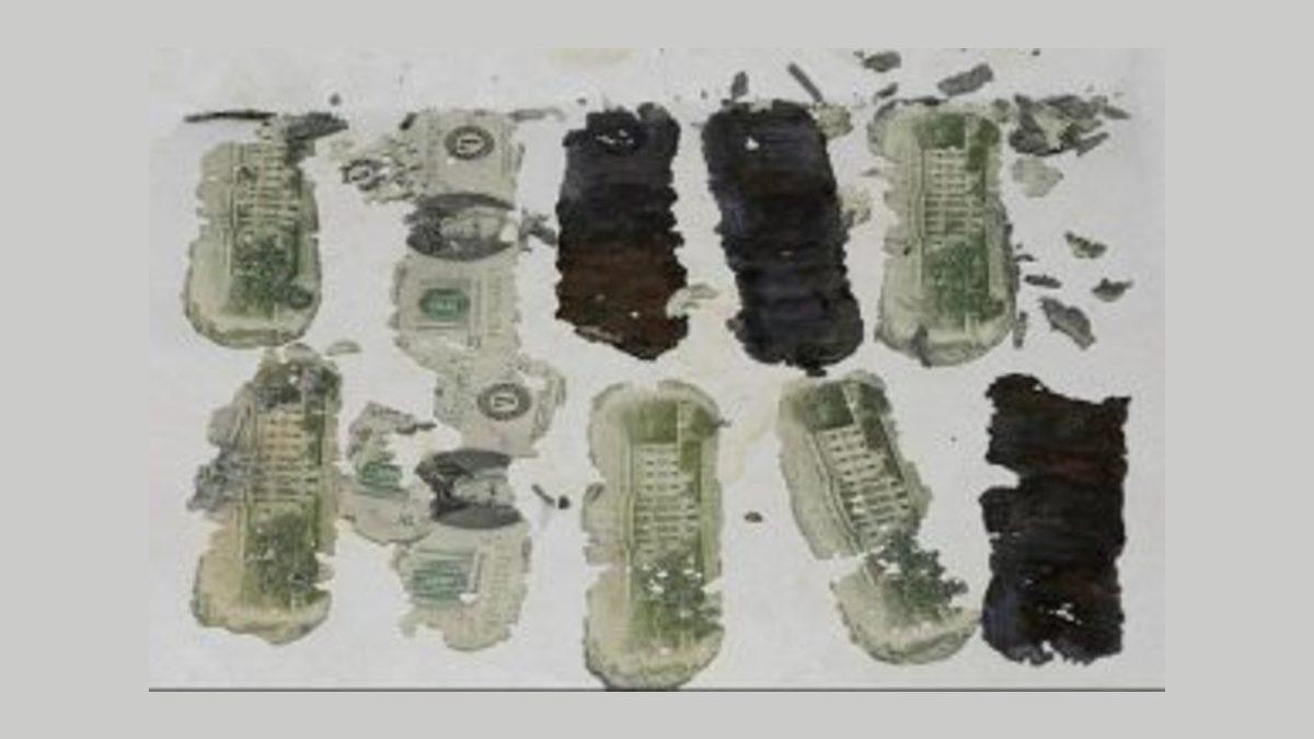 Havacılık Tarihinin Çözülememiş Tek Gizemli Olayı: Hava Korsanı D.B. Cooper