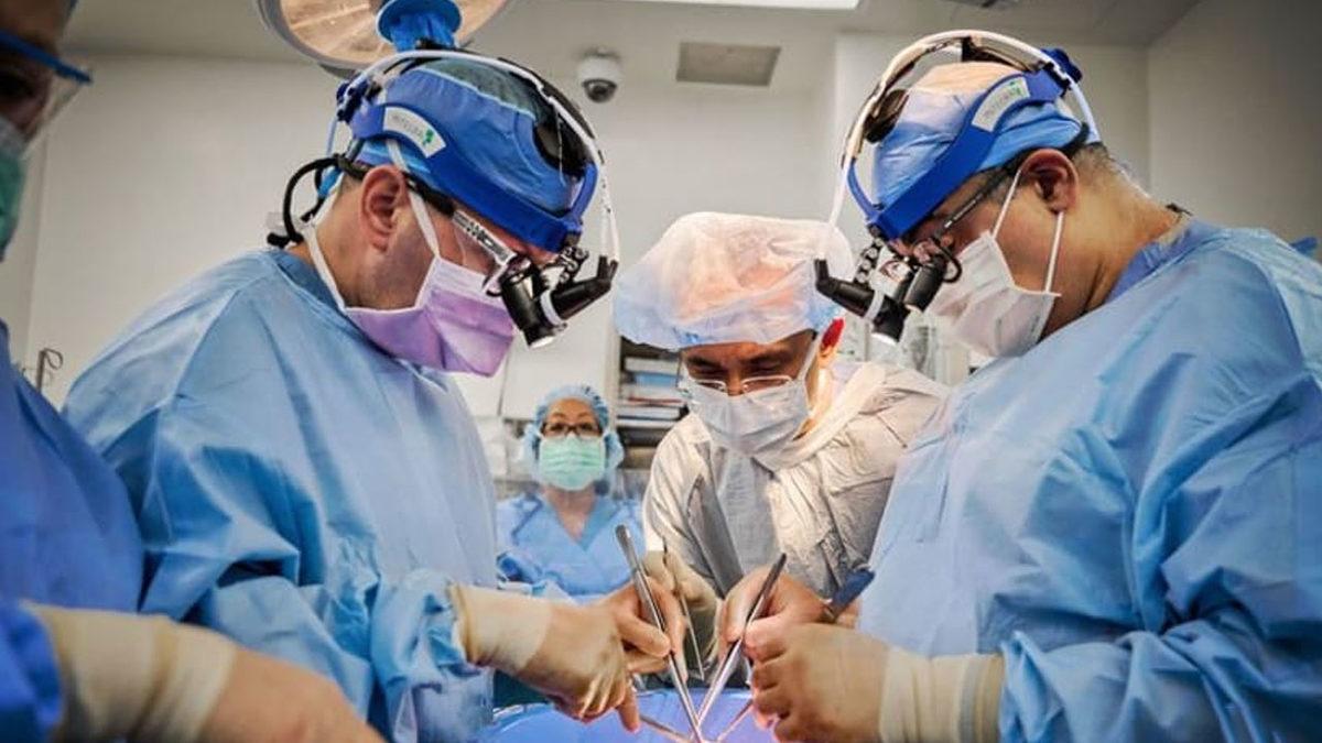 Genetiği Değiştirilmiş Domuz Kalbi, İki İnsana Nakledildi (Yeni Organ Nakli Çağı Başlıyor)