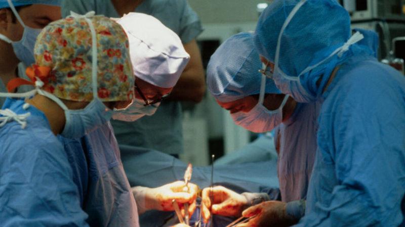 Genetiği Değiştirilmiş Domuz Kalbi, İki İnsana Nakledildi (Yeni Organ Nakli Çağı Başlıyor)