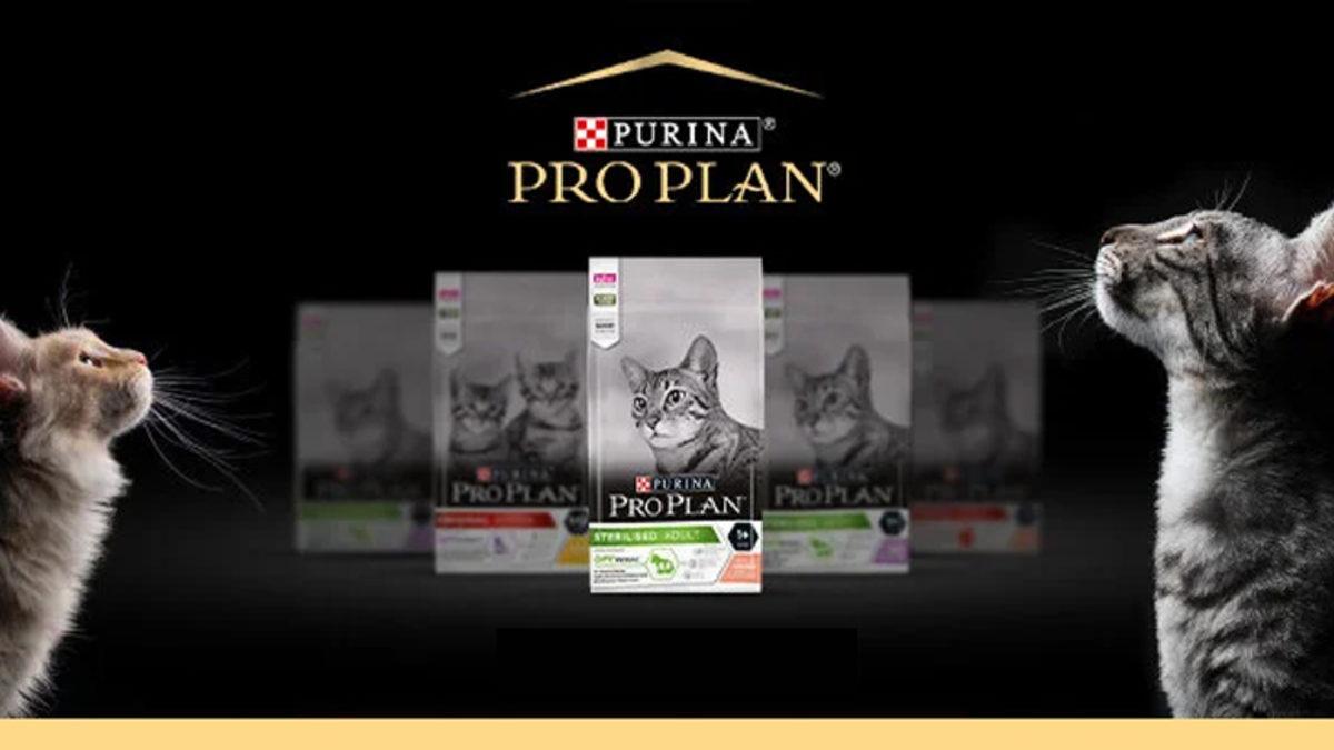 Bazı Pro Plan Kedi Mamalarında Zehirli Kimyasallar Tespit Edildi: İşte Kedi Sahiplerinin Yapması Gerekenler! [GÜNCELLEME]