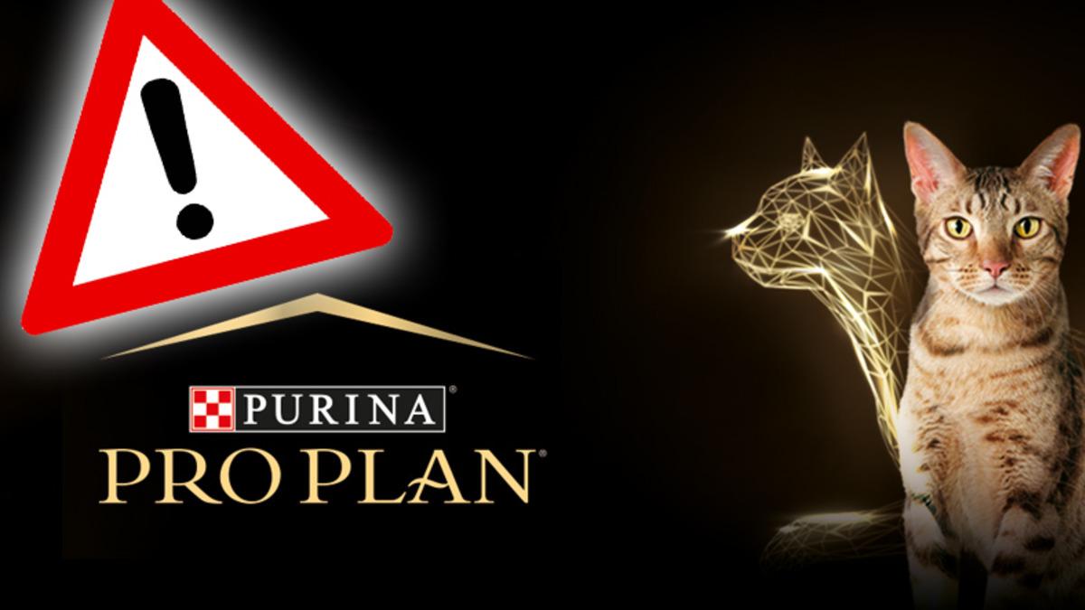 Bazı Pro Plan Kedi Mamalarında Zehirli Kimyasallar Tespit Edildi: İşte Kedi Sahiplerinin Yapması Gerekenler! [GÜNCELLEME]