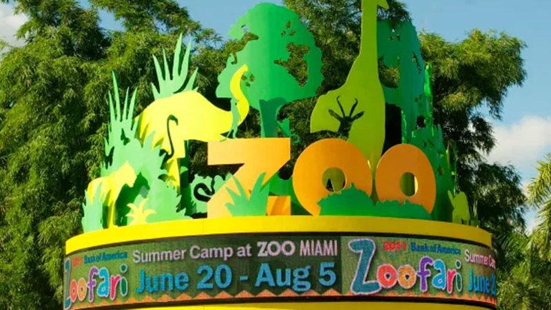 Örümcek Fobisi Olan Girmesin: Miami’de Parlak, Siyah ve Korkunç Bir Örümcek Türü Keşfedildi