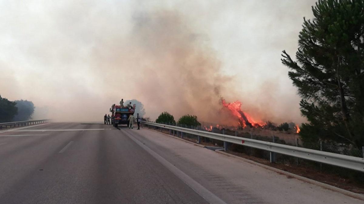 Çeşme’deki Yangının Ardından Datça’daki Yangın da Kontrol Altına Alındı! [Video]