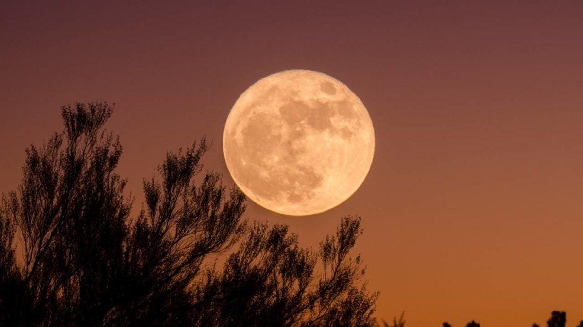 Denizleri Bile Kabartan Dolunay, Vücudunun %60’ı Sudan Oluşan İnsanları Gerçekten Etkiler mi?