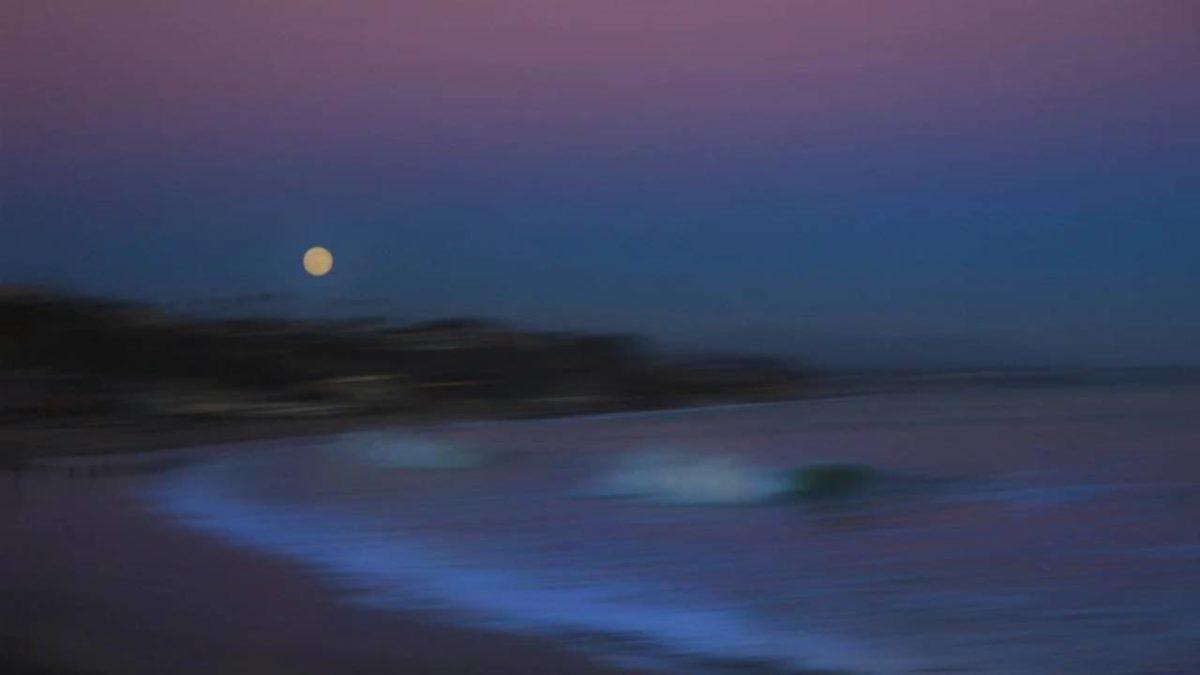 Denizleri Bile Kabartan Dolunay, Vücudunun %60’ı Sudan Oluşan İnsanları Gerçekten Etkiler mi?