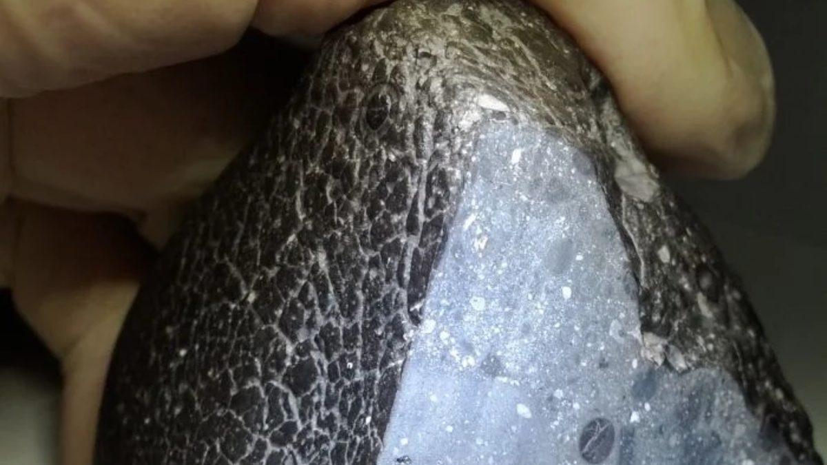 2011 Yılında Dünya’ya Düşen Mars Meteorunun Sırrı Nihayet Çözüldü!