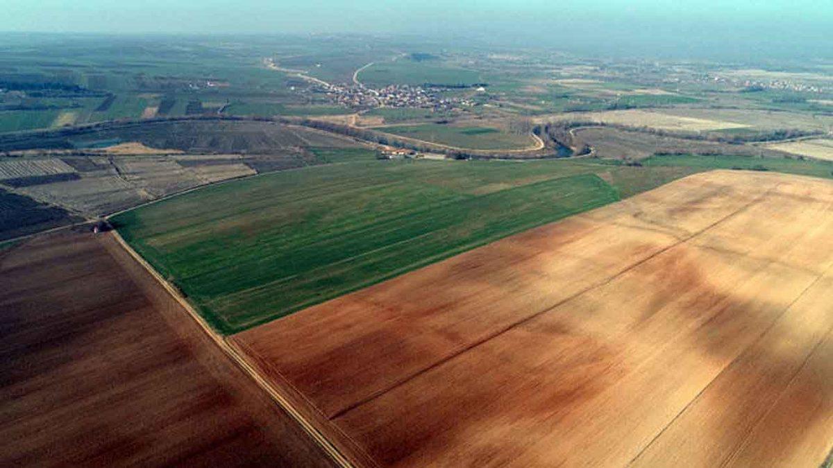 Bill Gates’in Trakya’da Arazi Satın Aldığı İddiası Fırsatçılığa Dönüştü: Komşusu Olacaksınız