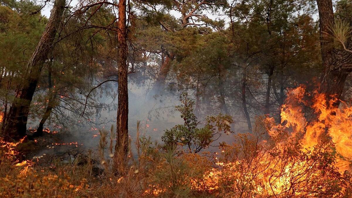 Yangın Anında ve Öncesinde Uygulayabileceğiniz ‘Hayat Kurtaracak’ Önlemler