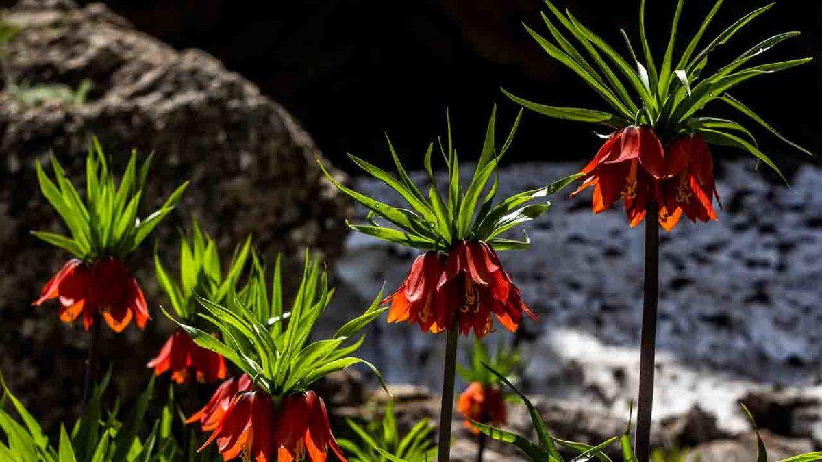 Facebook Türkiye’nin Düzenlediği Anadolu’nun 4 Mevsimi Fotoğraf Yarışması’nın Sonuçları Açıklandı