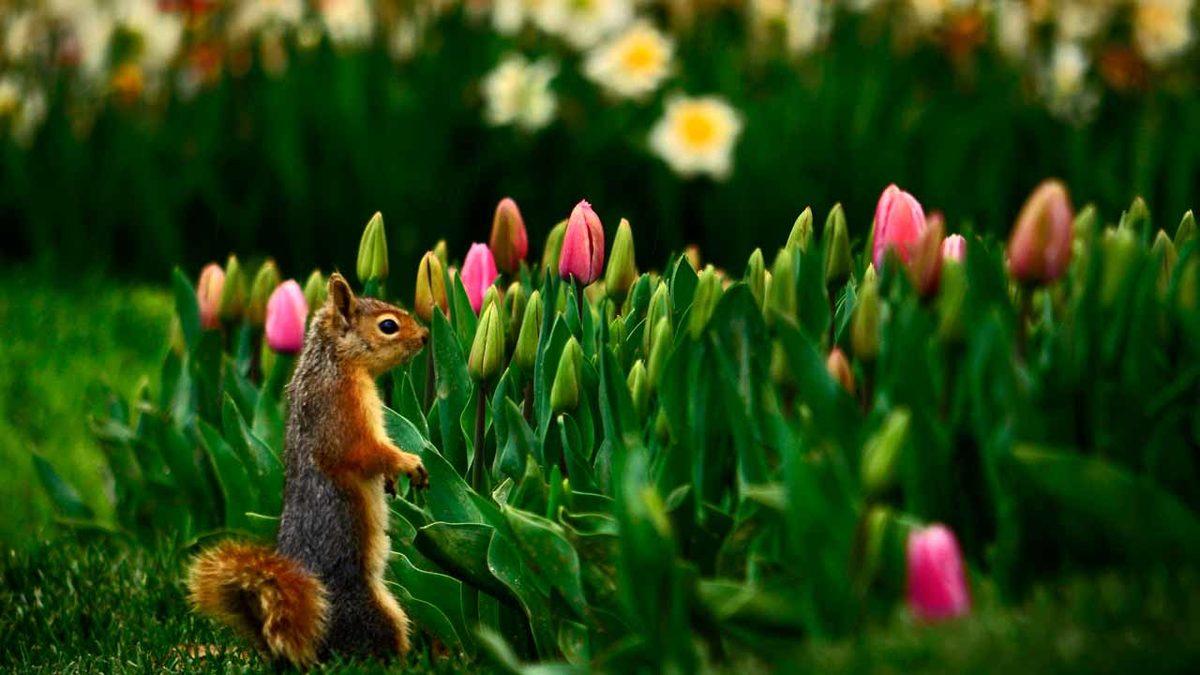 Facebook Türkiye’nin Düzenlediği Anadolu’nun 4 Mevsimi Fotoğraf Yarışması’nın Sonuçları Açıklandı