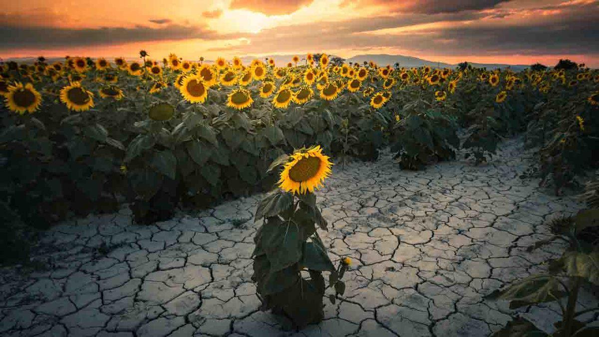 Facebook Türkiye’nin Düzenlediği Anadolu’nun 4 Mevsimi Fotoğraf Yarışması’nın Sonuçları Açıklandı