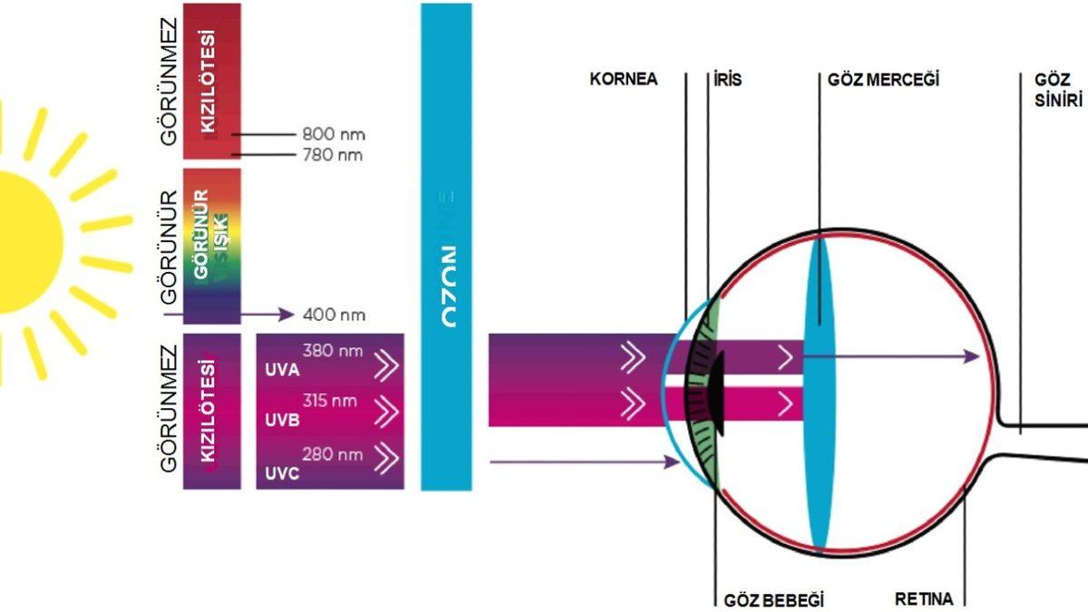 Ucuz Güneş Gözlüklerinin Gözünüze Verdiği Zararları Öğrenince Kullanmaya Tövbe Edeceksiniz!
