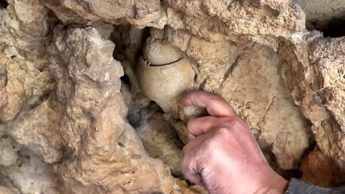 Elazığ’da Vatandaşlar, Tesadüfen Deniz Canlılarına Ait Fosiller Buldular