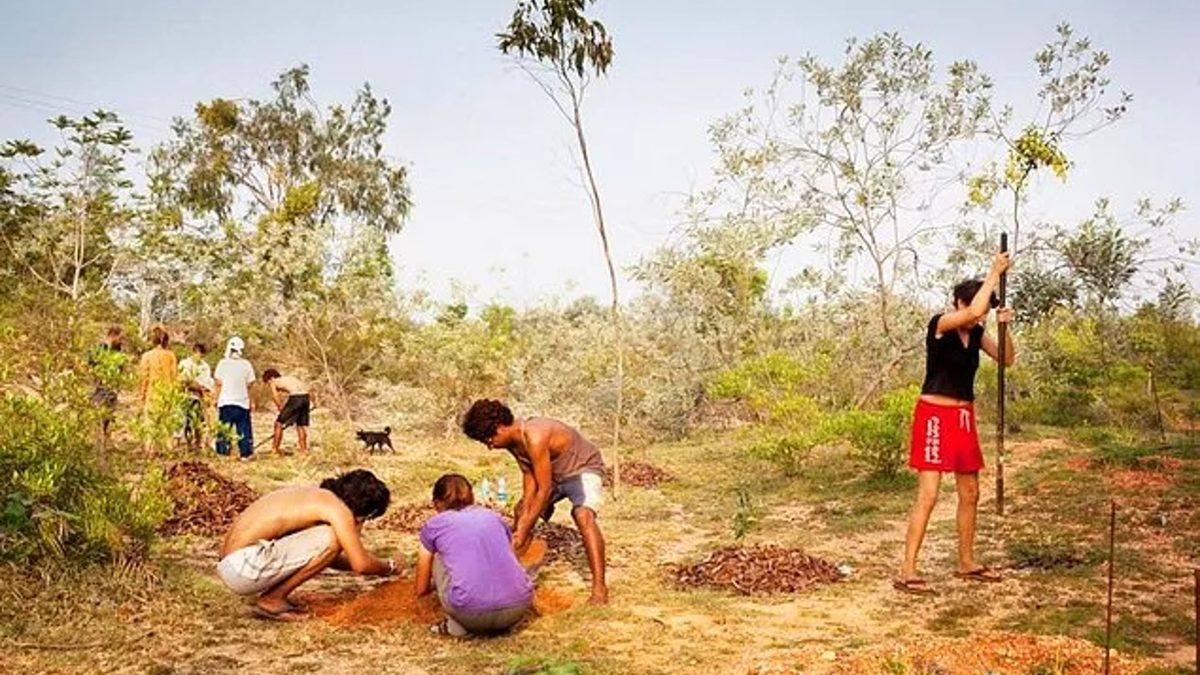 Siyaset, Din ve Paranın Girmesinin Yasak Olduğu Gerçek Şehir: Auroville (Evet, Kulağa Ütopik Geliyor)