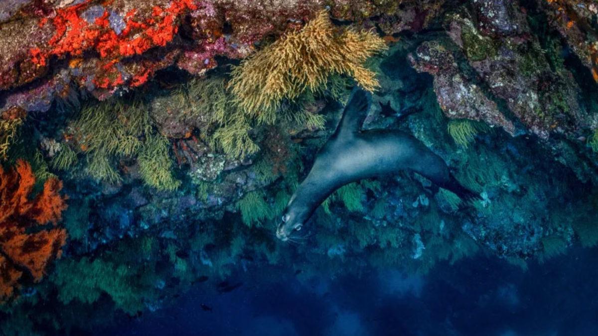 2022’nin ’En İyi Yerleri’ Açıklandı: Türkiye’den de Bir Şehir Bulunuyor!