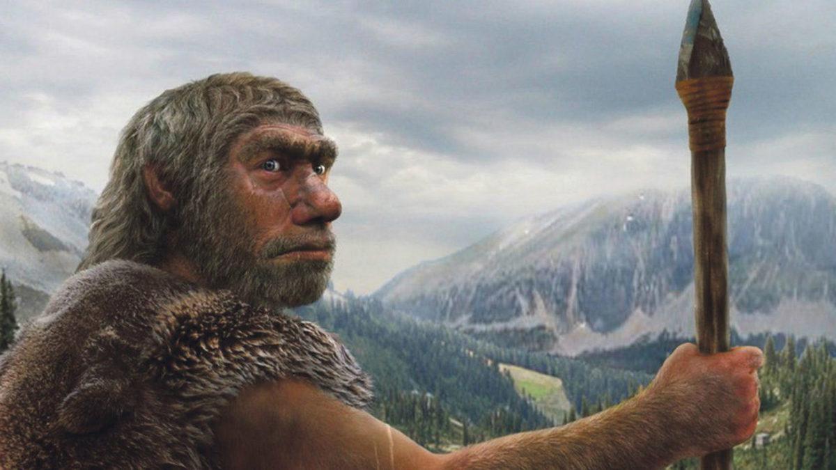 Bazı İnsanların Kafalarında Bulunan ’Occipital Torus’ Çıkıntısı Nereden Geliyor?