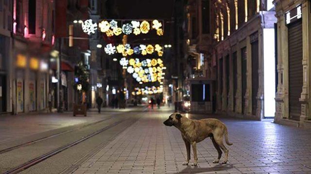 İçişleri Bakanlığı, Tam Kapanma Dönemiyle İlgili 5 Soruya Daha Yanıt Verdi