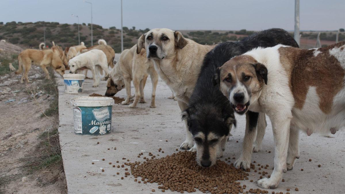 17 Günlük Tam Kapanma Resmen Başladı: İşte Bilinmesi Gereken İzinler ve Yasaklar