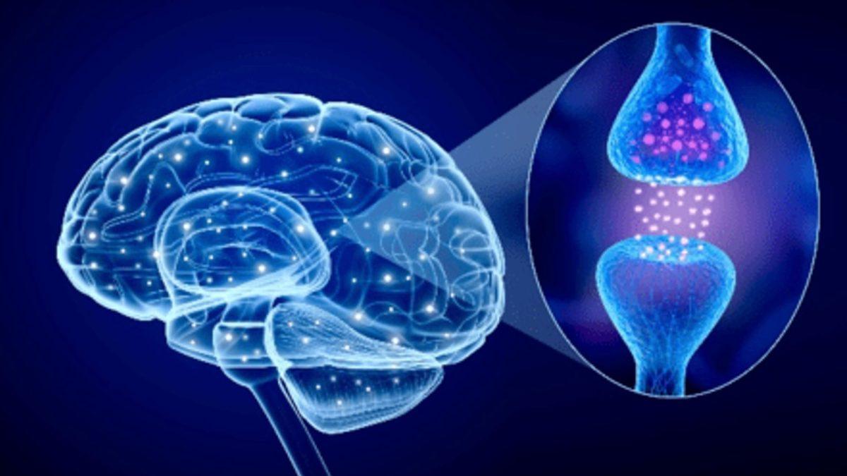 Tam Kapanma Döneminde Azalacak Mutluluk Hormonu ’Dopamin’ Seviyenizi Nasıl Artırabilirsiniz?