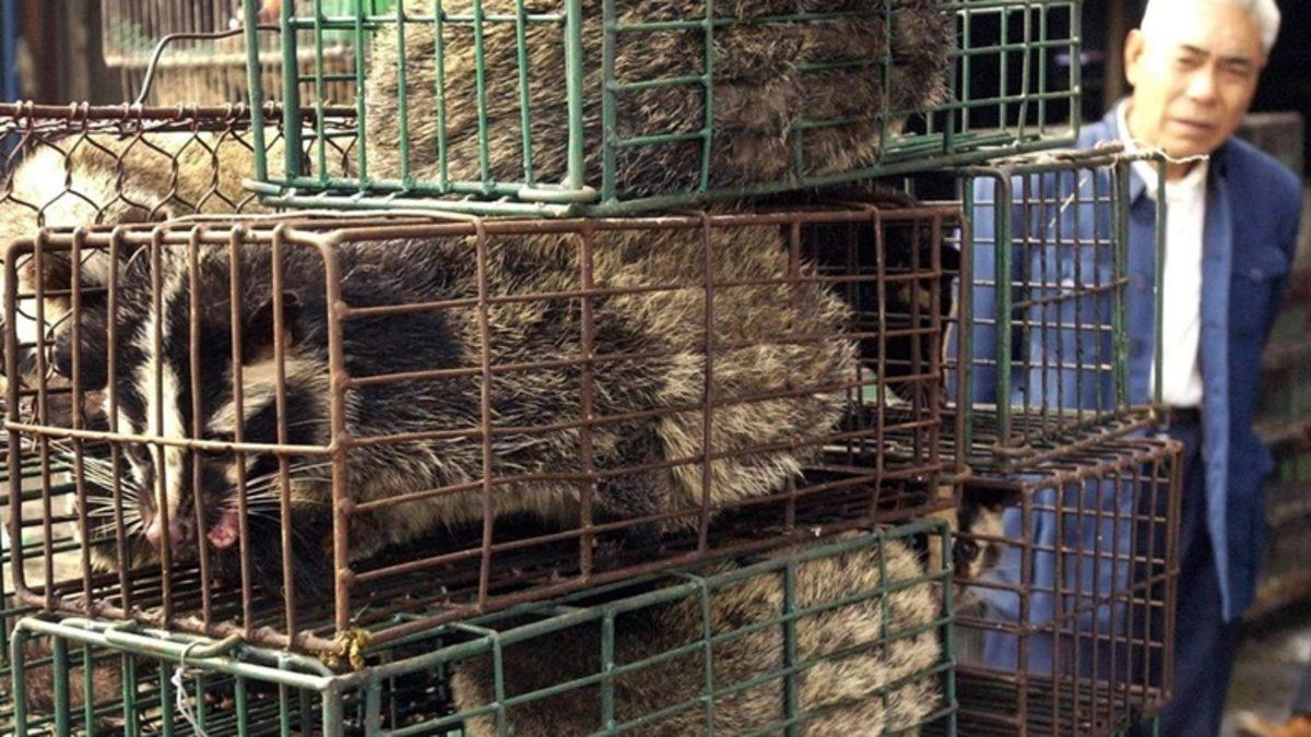 Çoğu Virüs Salgını Neden Özellikle Asya veya Afrika’da Ortaya Çıkıyor?