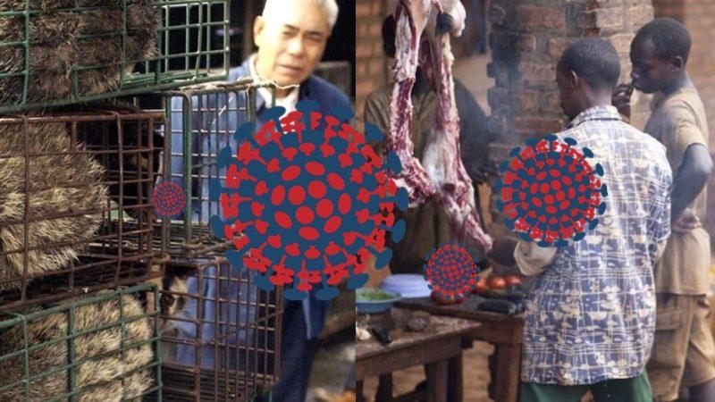 Çoğu Virüs Salgını Neden Özellikle Asya veya Afrika’da Ortaya Çıkıyor?