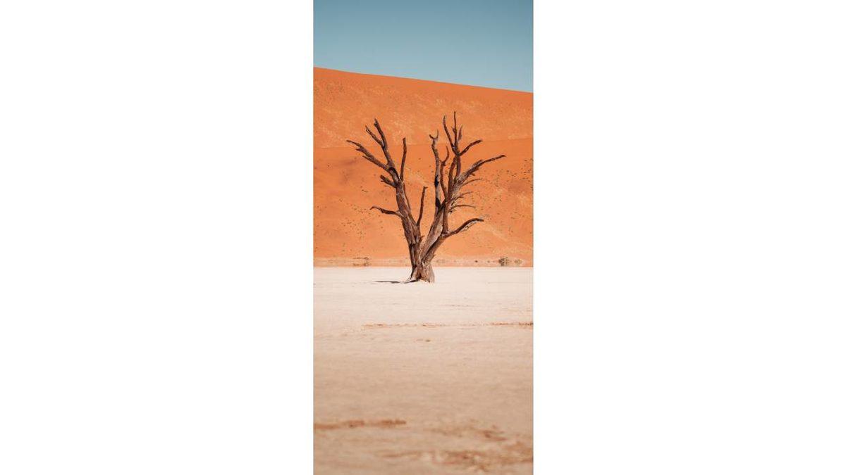 iPhone Kullananlar İçin 50 Şahane Duvar Kağıdı: Derinlik Efektiyle Kullanabilecekleriniz de Var!