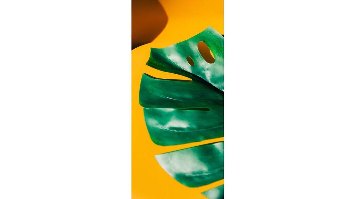 iPhone Kullananlar İçin 50 Şahane Duvar Kağıdı: Derinlik Efektiyle Kullanabilecekleriniz de Var!