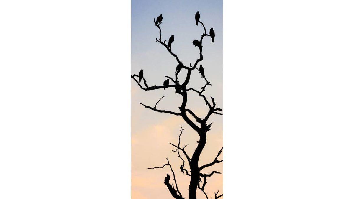 iPhone Kullananlar İçin 50 Şahane Duvar Kağıdı: Derinlik Efektiyle Kullanabilecekleriniz de Var!