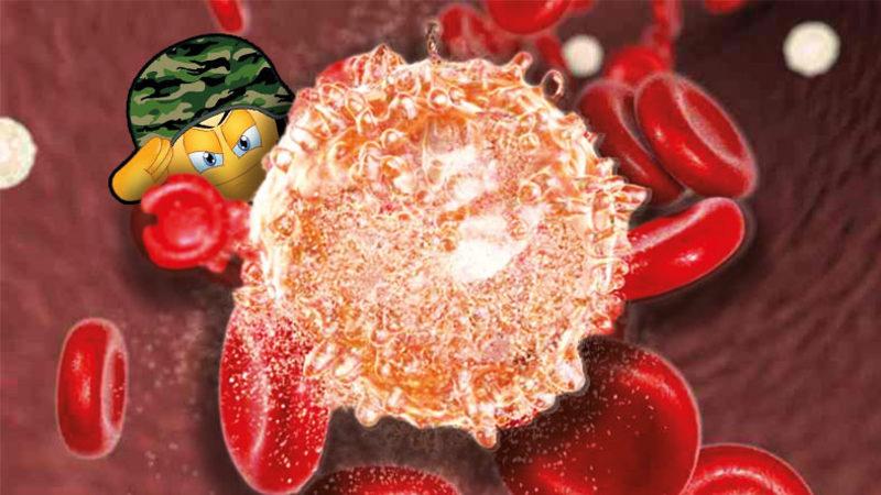 Damarlarımızda Hastalıklarla Savaşan Görünmez Askerler: ’Lökosit’ Nedir?