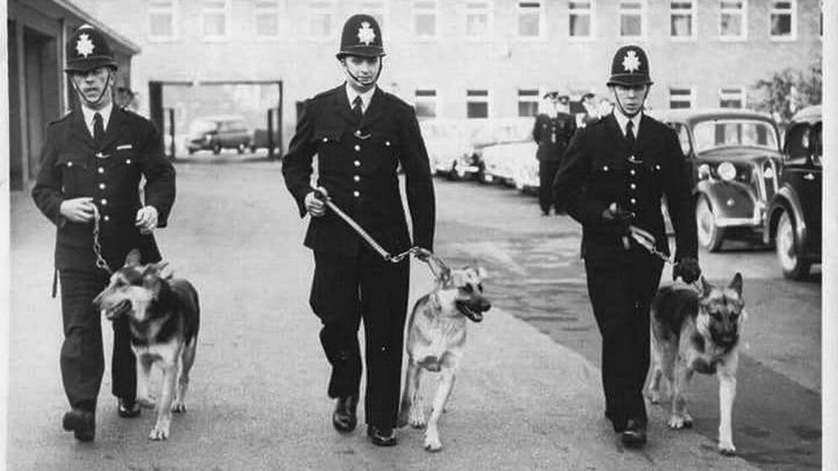 Polis Köpeklerine Neden K-9 Denir ve Niçin Genellikle Alman Kurdu Olurlar?