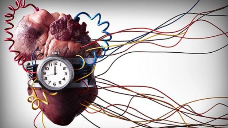 Genetik Bilimciler, Dünyanın En Ölümcül Hastalıklarından Birini Ortadan Kaldırabilecek Bir Tedavi Geliştirdi