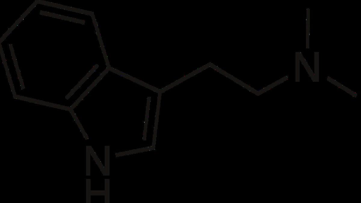 Ölüme Yaklaşan İnsanlar Neden ’Beyaz Işık Görüp Ruhlarının Bedenden Ayrıldığını’ Hisseder? İşte Olayın Bilimsel Açıklaması
