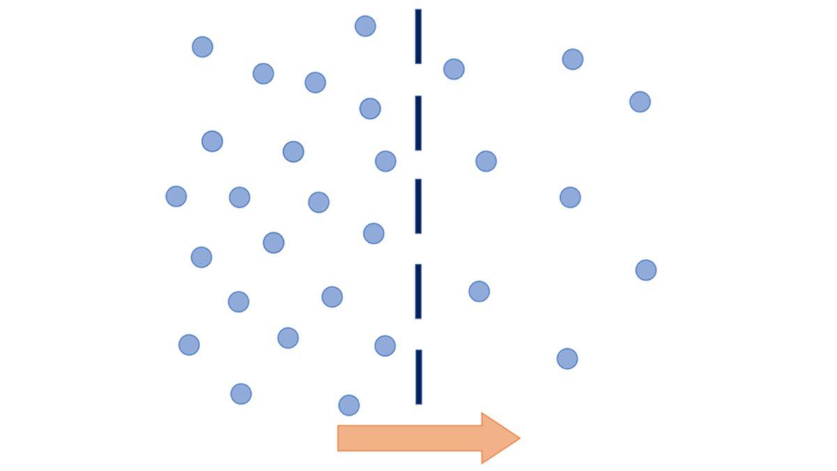 Cam, Plastik ve Kutu Kolaların Tatları Neden Birbirinden Farklı Olur?