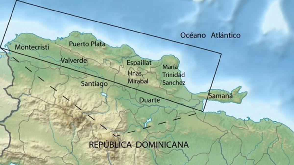 30 Milyon Yıldır Kehribarın İçinde Hapsolmuş Bir Arı ve Çiçek Fosili Bulundu