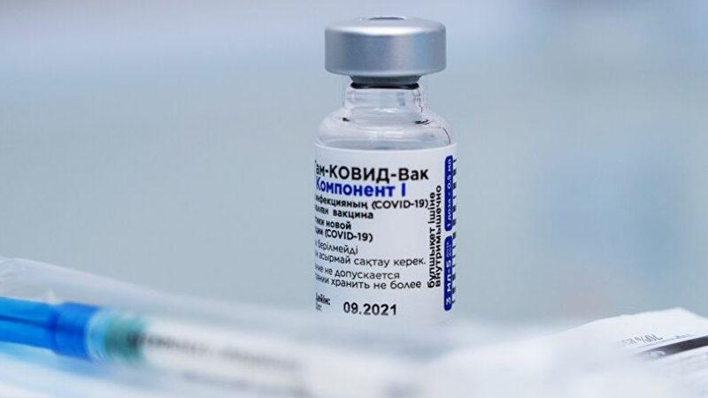 Türkiye’de Kullanılacak Koronavirüs Aşısı Sputnik V’in Koruyuculuk Oranı Açıklandı