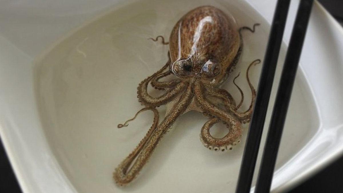 Bir Fotoğraf Kadar Gerçekçi Eserlerin Oluşturulduğu ’Hiperrealizm Akımı’ Nedir? Fotoğraf mı, Çizim mi Anlayamayacağınız 8 Eser