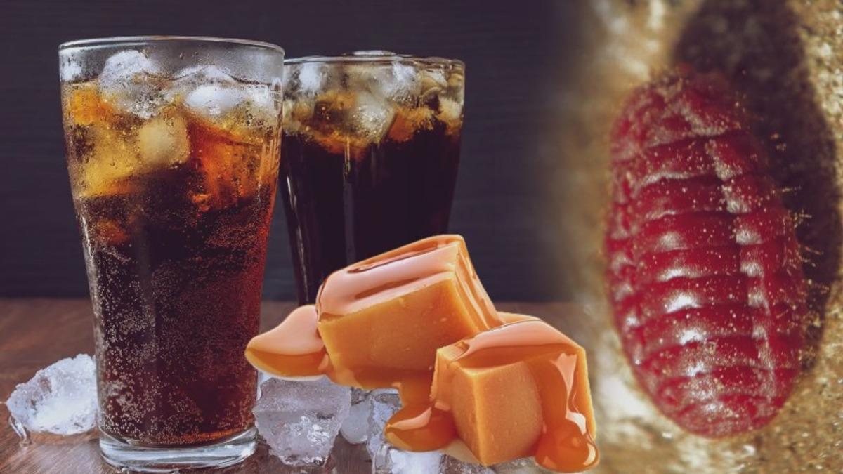 Kolaya Siyah Rengini Veren Şey Nedir? (Hayır, Böcek Değil)