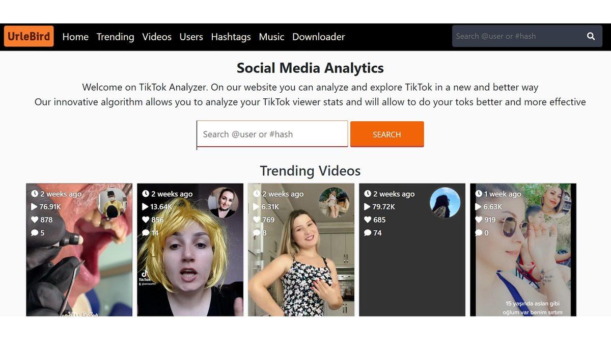 TikTok Videoları Giriş Yapmadan Nasıl İzlenir?