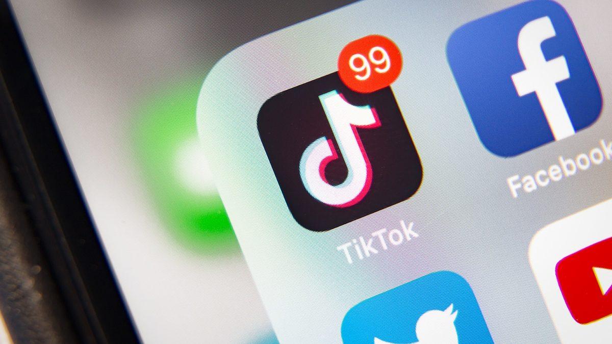 TikTok Videoları Giriş Yapmadan Nasıl İzlenir?