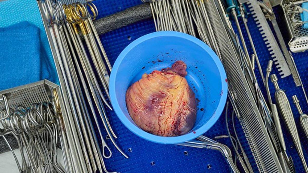 ’Yalnızlık’ Beynin Yapısını Resmen Değiştiriyormuş! Tıpta Geçtiğimiz Bir Ayda Yaşanan Önemli Gelişmeleri Derledik!