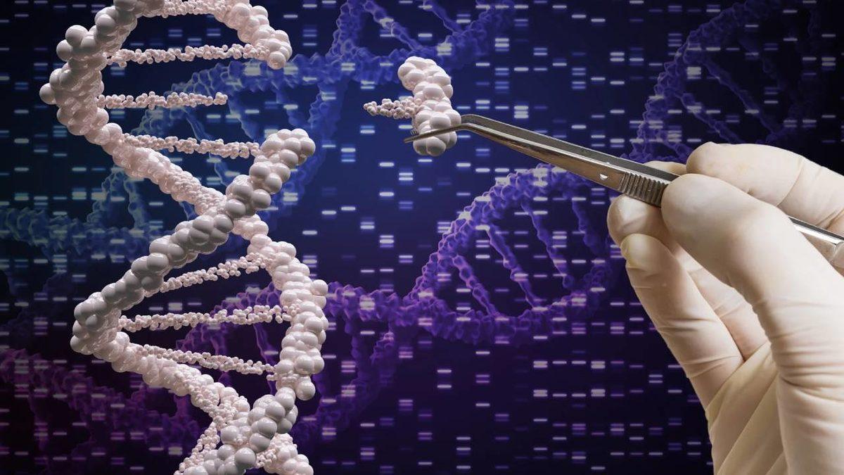 ’Yalnızlık’ Beynin Yapısını Resmen Değiştiriyormuş! Tıpta Geçtiğimiz Bir Ayda Yaşanan Önemli Gelişmeleri Derledik!