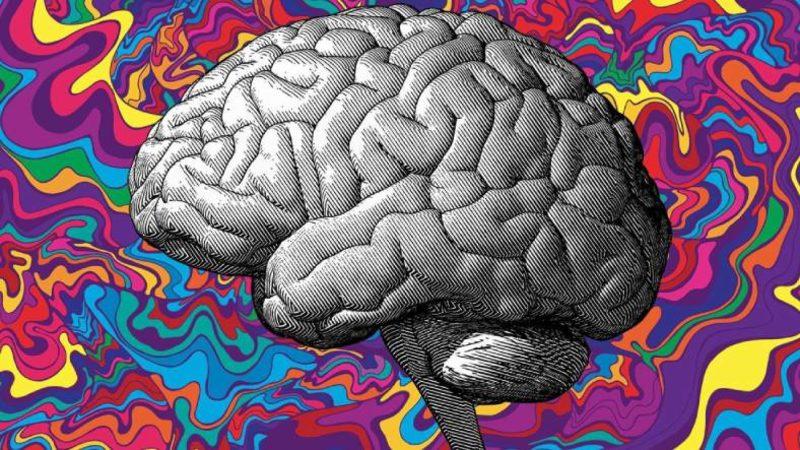 ’Yalnızlık’ Beynin Yapısını Resmen Değiştiriyormuş! Tıpta Geçtiğimiz Bir Ayda Yaşanan Önemli Gelişmeleri Derledik!