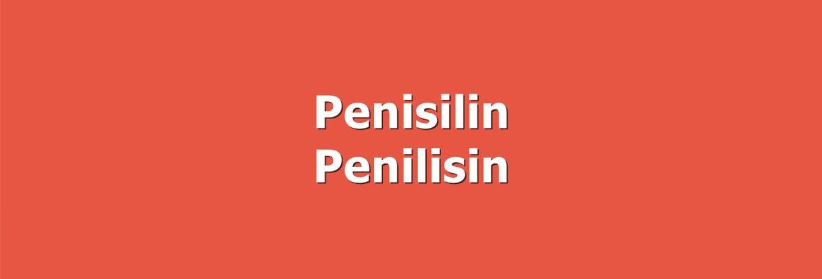 Türk Dil Kurumu Çalışanlarının Bile Full Çekemeyeceği Bu İmla Testinde Kaçta Kaç Yapabilirsin?