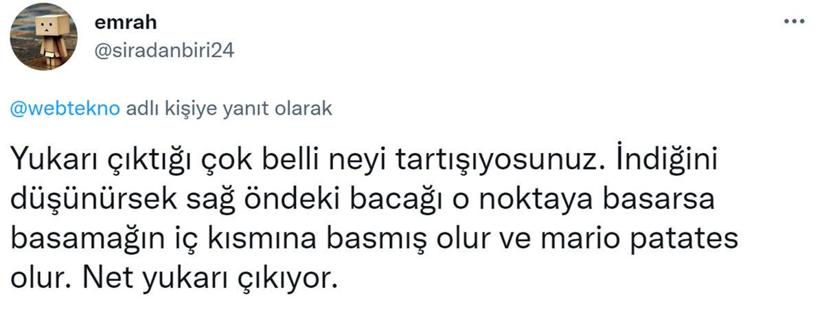 Sosyal Medya Yine İkiye Bölündü: Bu Mario, Merdivenden Aşağı mı İniyor, Yukarı mı Çıkıyor?