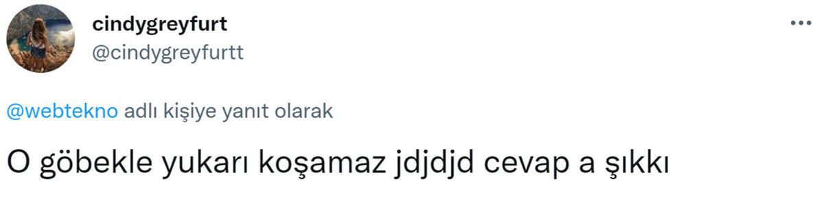 Sosyal Medya Yine İkiye Bölündü: Bu Mario, Merdivenden Aşağı mı İniyor, Yukarı mı Çıkıyor?