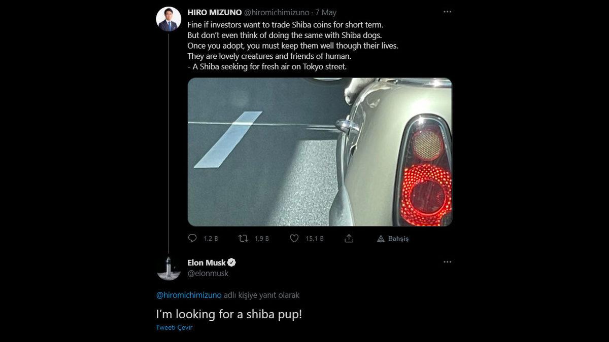 ‘DOGE Katili’ Olarak Sunulan Shiba Inu (SHIB) Nedir, Nasıl Alınır?