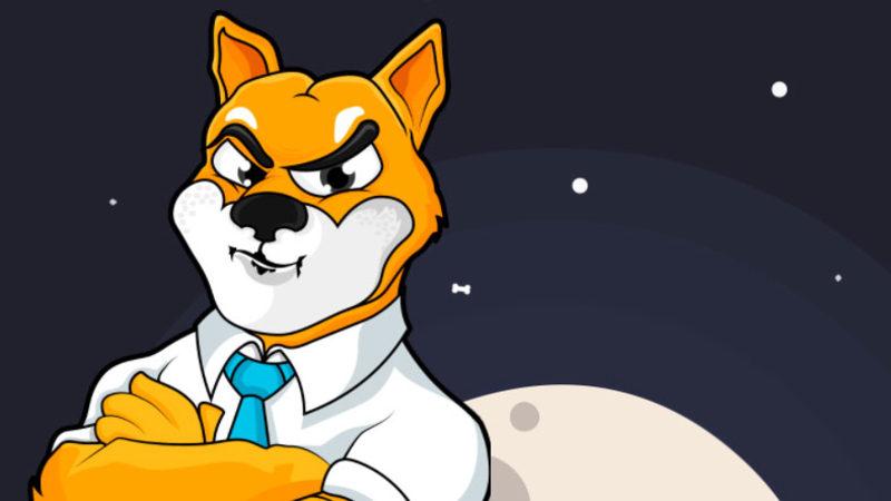 Yavru DOGE Olarak Bilinen Kripto Para Shiba Inu, Elon Musk’ın Bir Tweet’i ile Tavan Yaptı